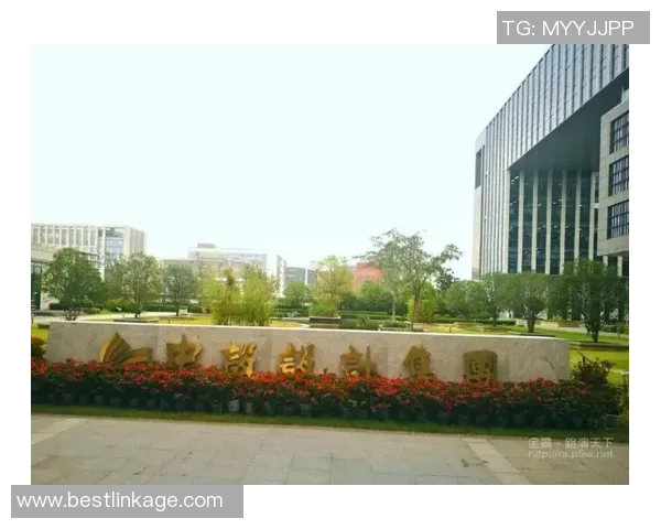 武汉篮球队在联合会杯中的拼搏历程与荣耀时刻全景回顾